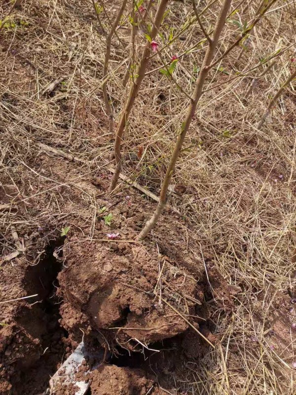 WeChat �DƬ_20220328100150.jpg