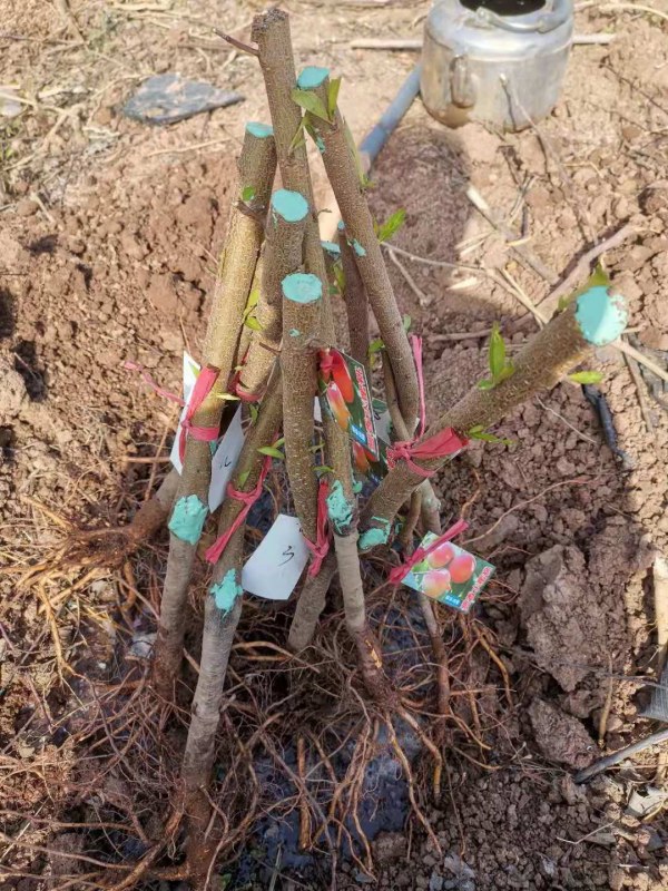 WeChat �DƬ_20220328100159.jpg