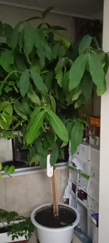 wx_camera_1648383741212.jpg