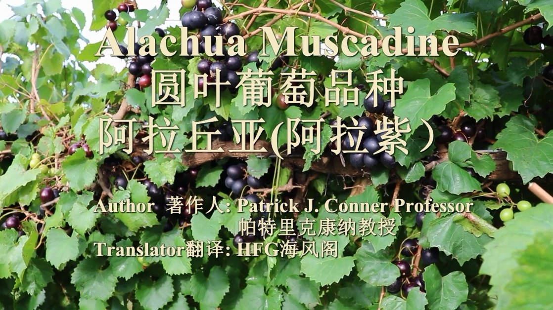 ſ--ǣϣ.mp4_20220406_225329.582.jpg