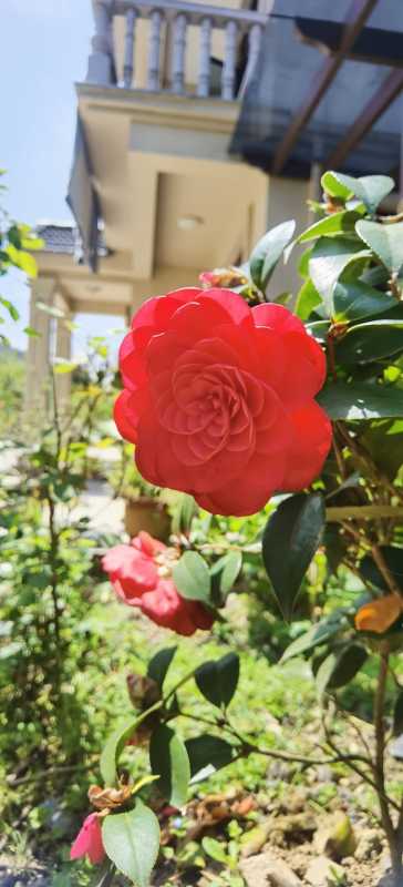 IMG_20220404_114447.jpg