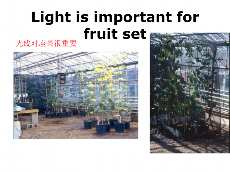 �ִ�ƻ������ϵͳ��ֲ���������ڼ���һЩӦ��_03.png