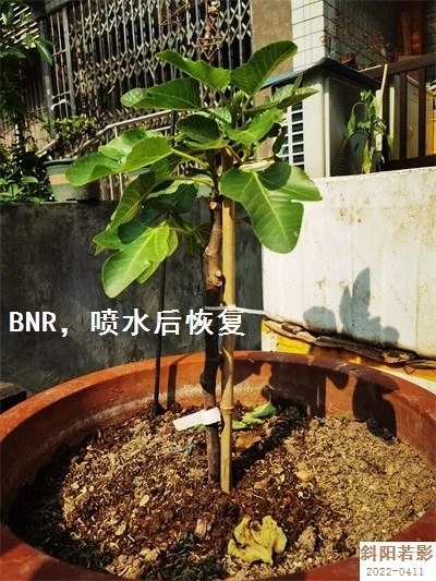 214937eoq617ne275mhweb.webp.jpg