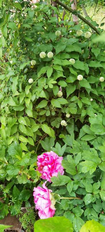 IMG_20220416_173924.jpg