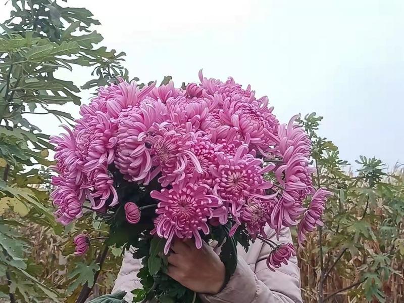 ΢��ͼƬ_20220507132312.jpg