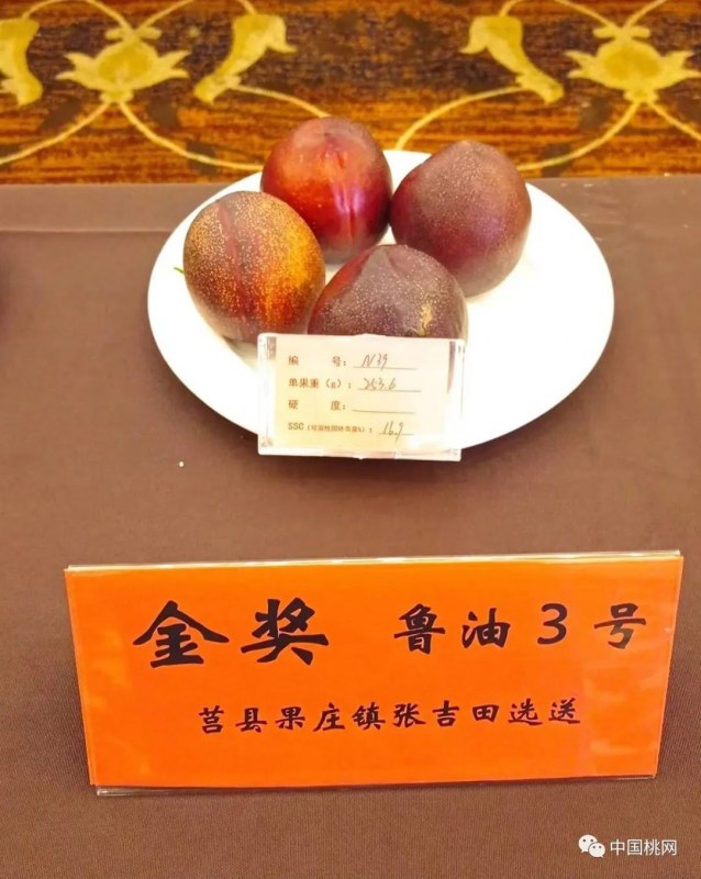 77.jpg