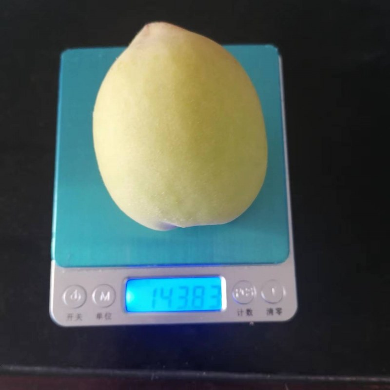 t0.jpg