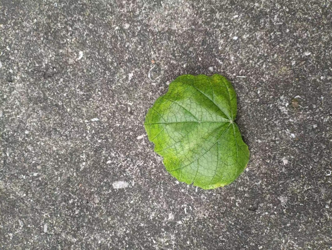 ΢ͼƬ_20220604110208.jpg