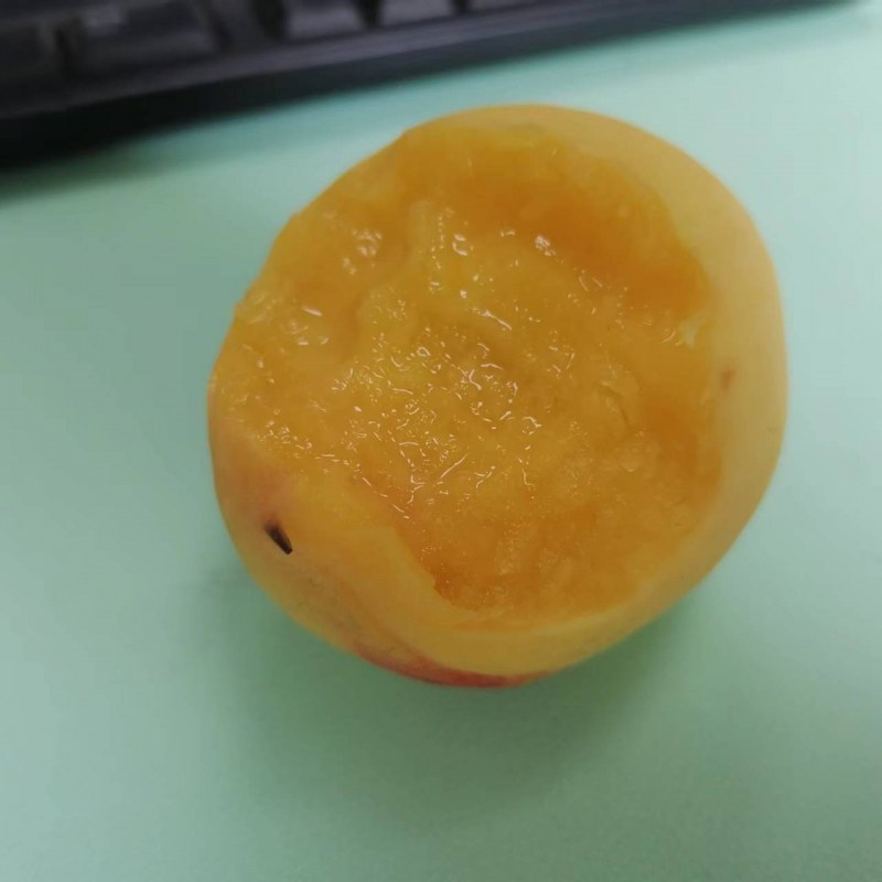 ΢ͼƬ_20220604154403.jpg