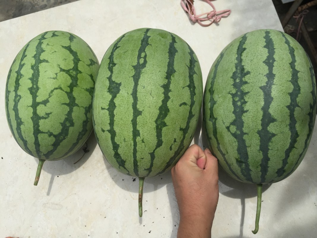 ΢ͼƬ_20220609123313.jpg