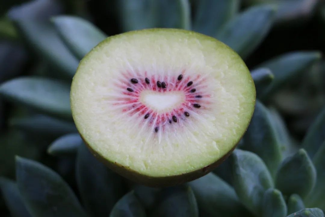 97.jpg