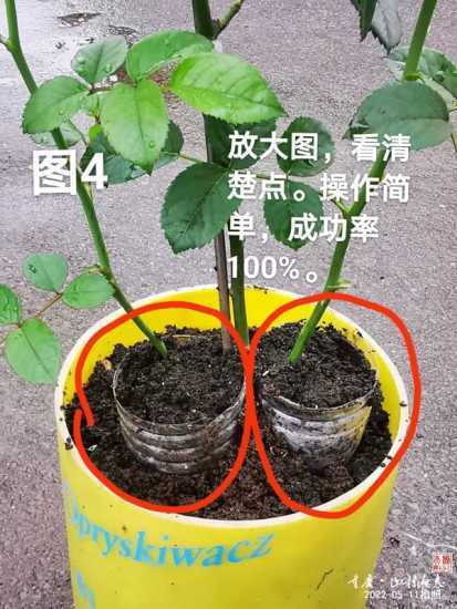 mmexport89ac399ce1185124301953d2785826b2_1655959390004.jpeg