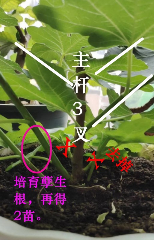 ΢ͼƬ_20220623125211.jpg