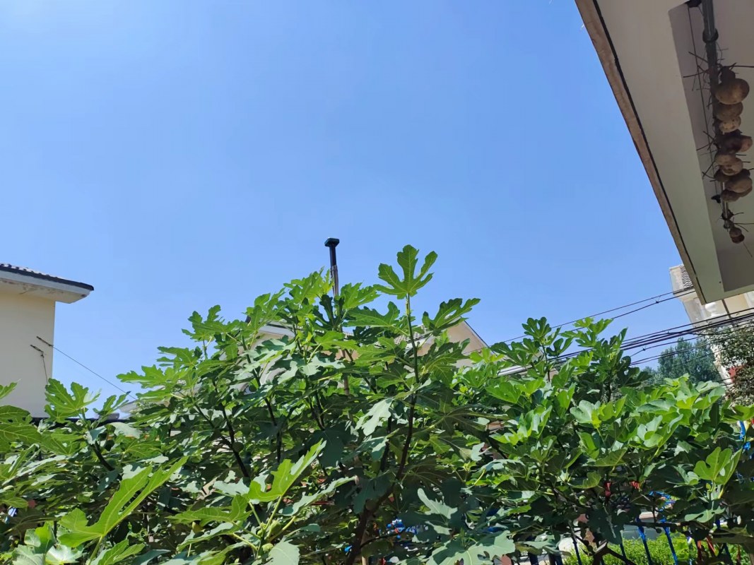 ΢ͼƬ_20220721112813.jpg