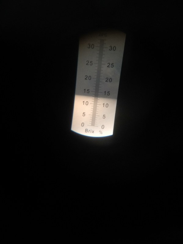 IMG_20220715_141044.jpg