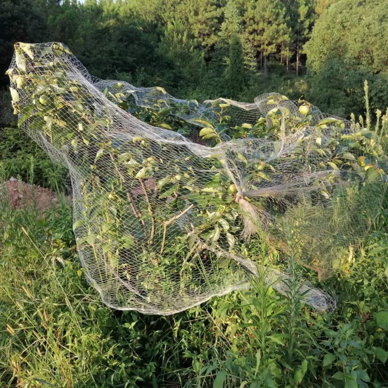 ΢ͼƬ_20220722212457.jpg