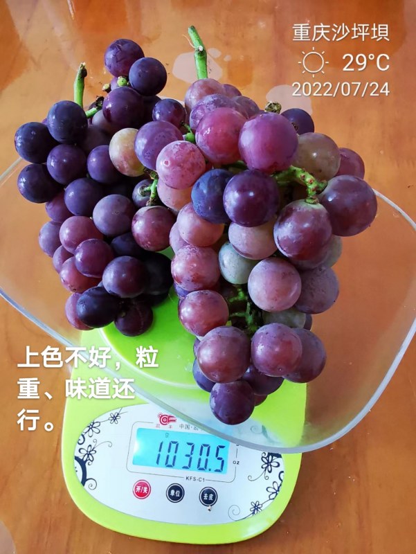 mmexport1658628449916.jpg