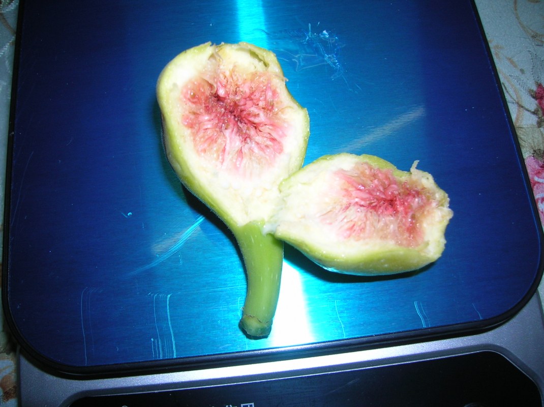 DSCN1804.JPG