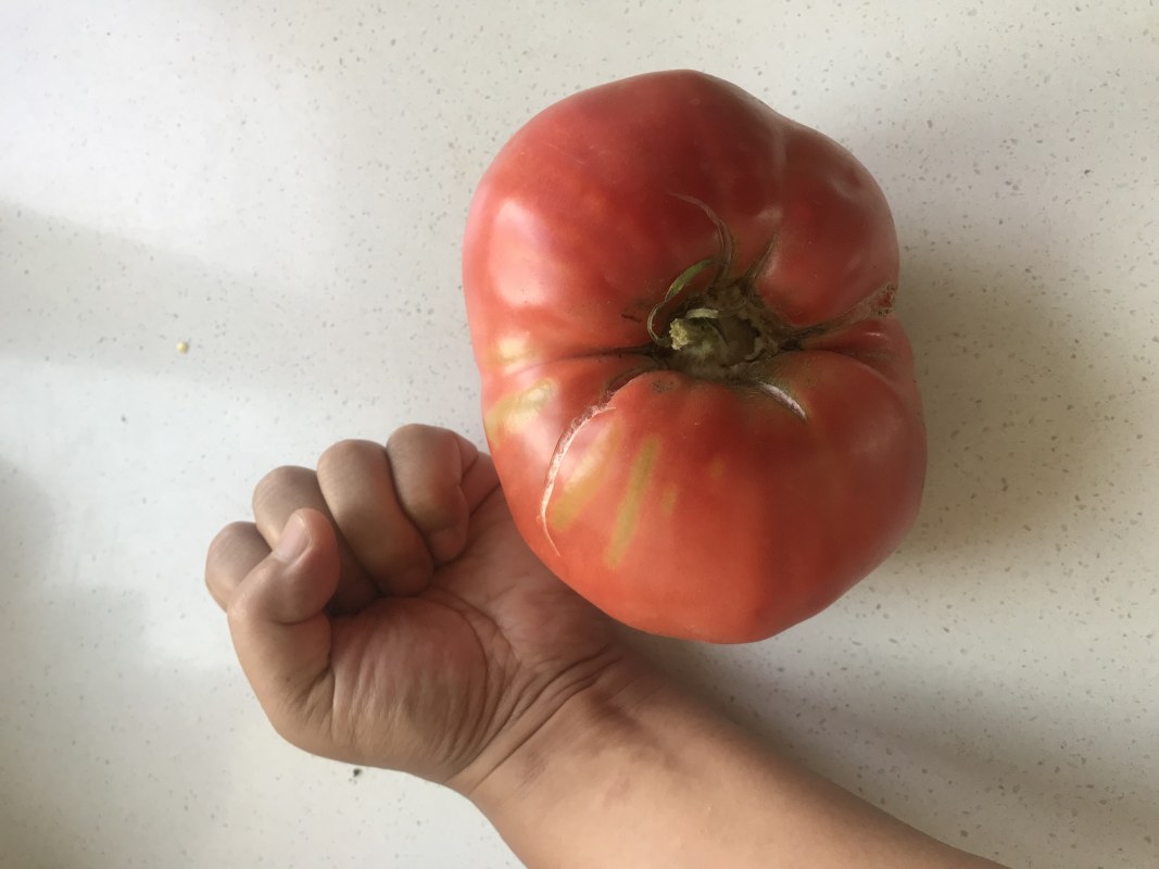 ΢ͼƬ_20220814141328.jpg