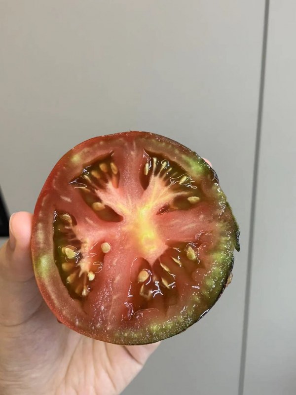 ΢ͼƬ_20220817213303.jpg