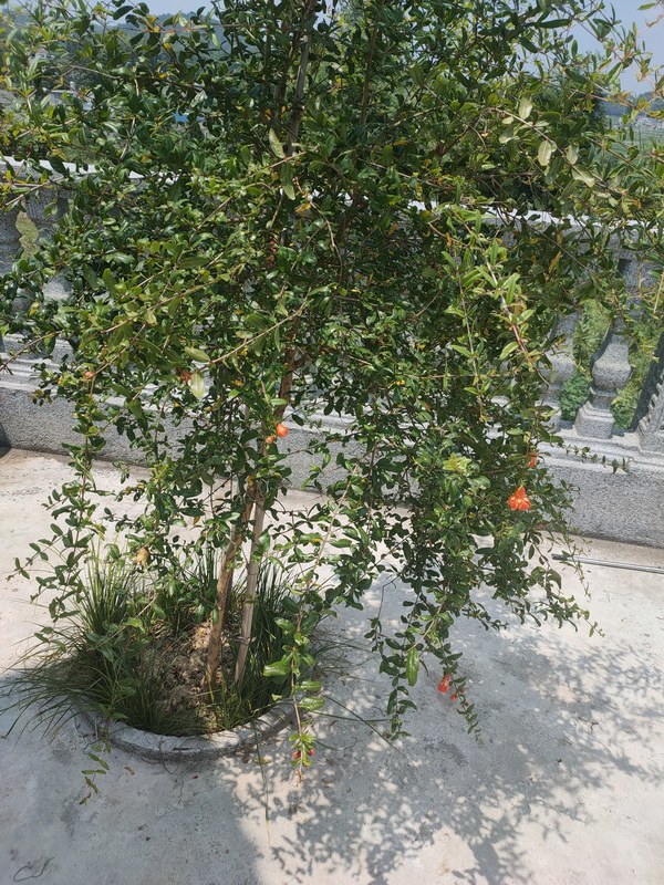 IMG20220803133514_С.jpg