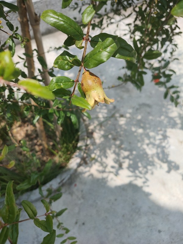 IMG20220803133528_С.jpg