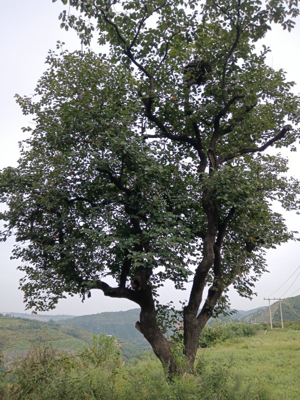 ȫ 001.jpg