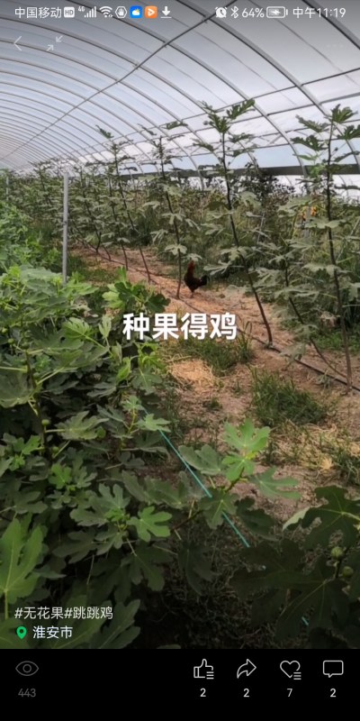 Screenshot_20220916_111914_com.tencent.mm.jpg