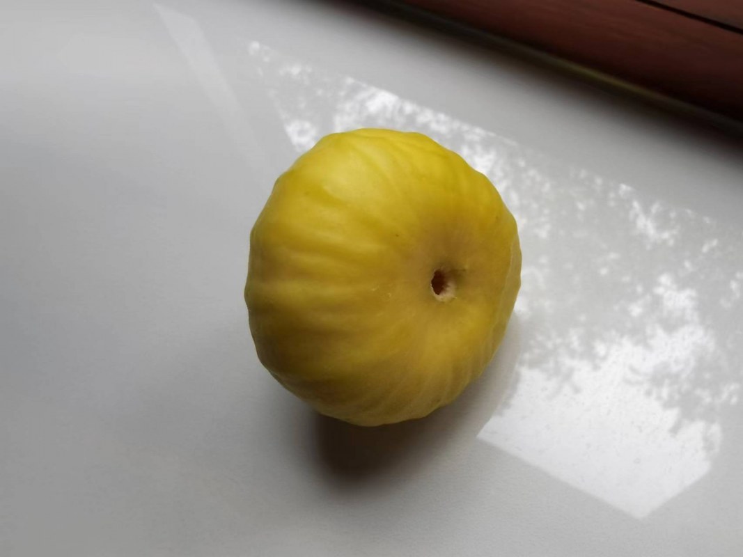 ΢ͼƬ_20220725170915.jpg