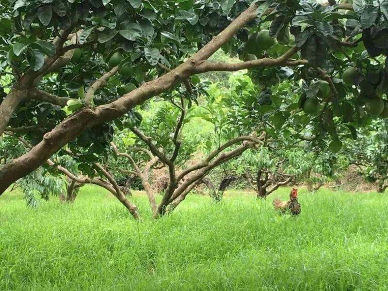28.jpg