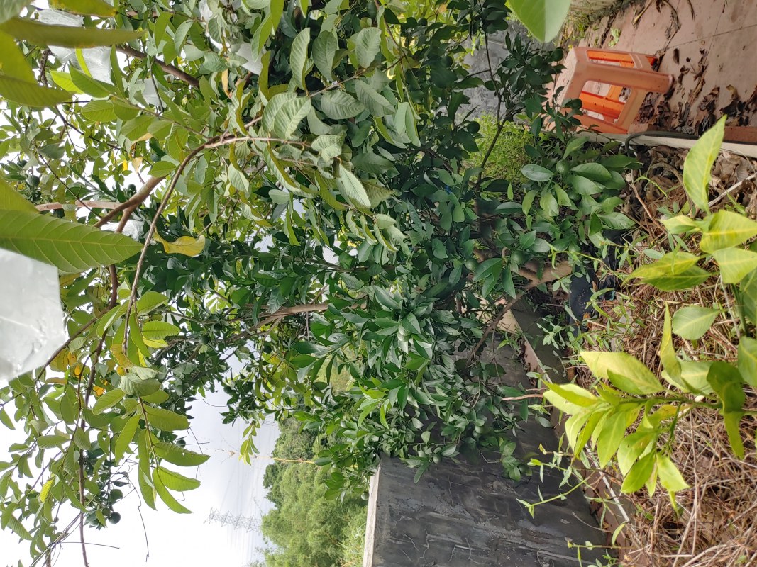 20220610_152332_HDR.jpg