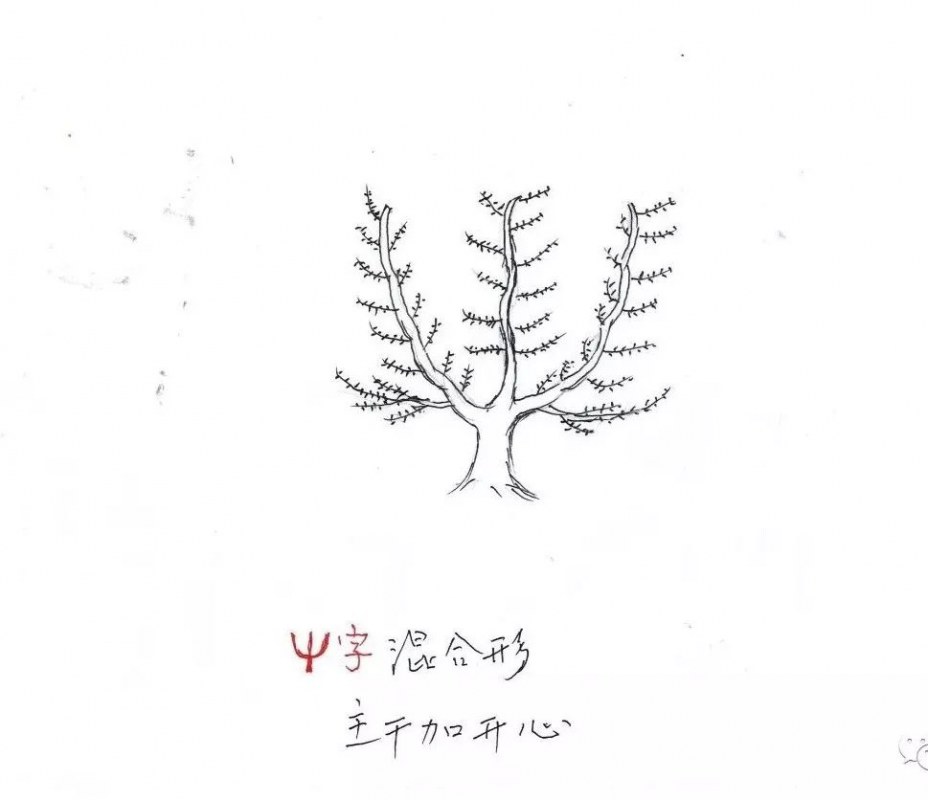 113.jpg