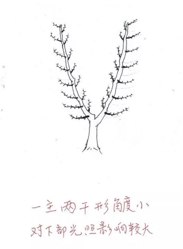 115.jpg