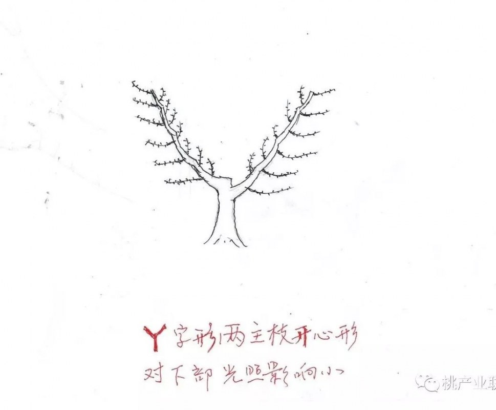 116.jpg