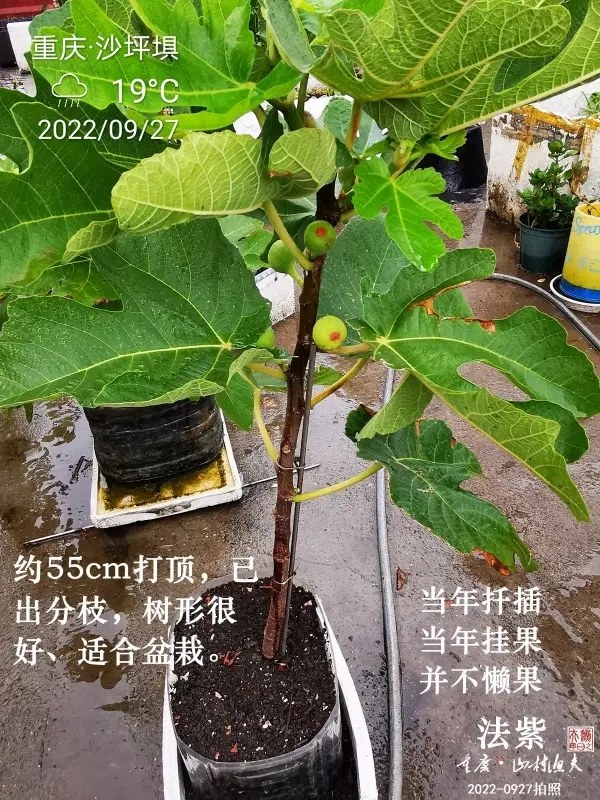 ΢ͼƬ_20221005204231.jpg