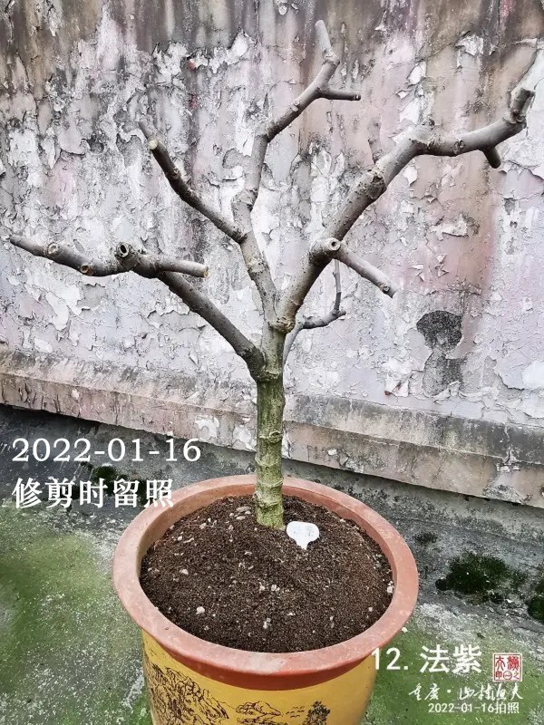 CB_01.jpg