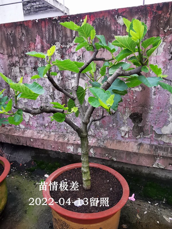 CB_20220413_072243.jpg