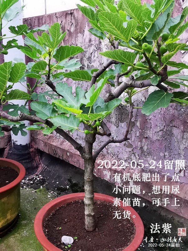 CB_20220524_071408-G.jpg