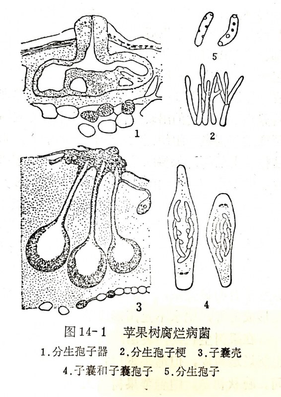 67.jpg