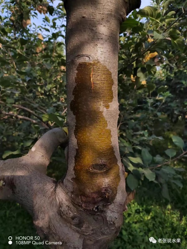 71.jpg
