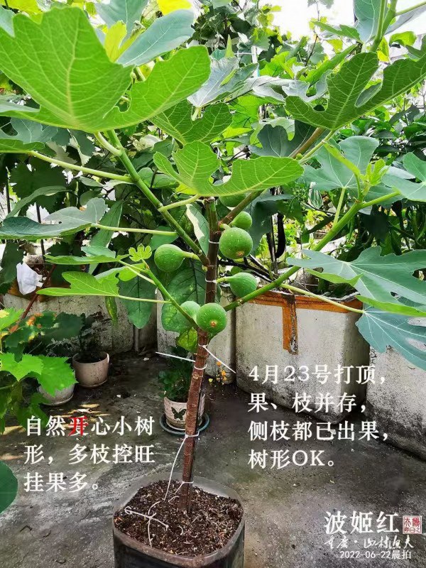 3-ֲ.jpg