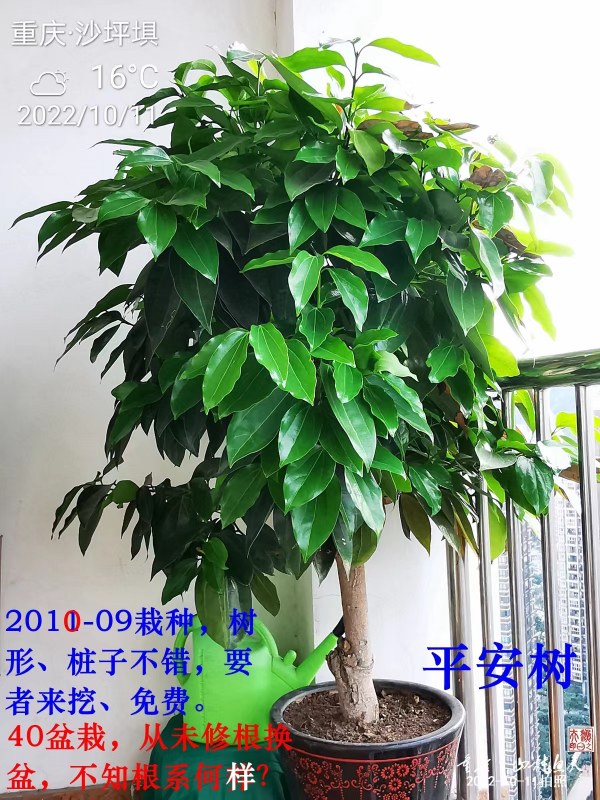 ΢ͼƬ_20221027151818.jpg