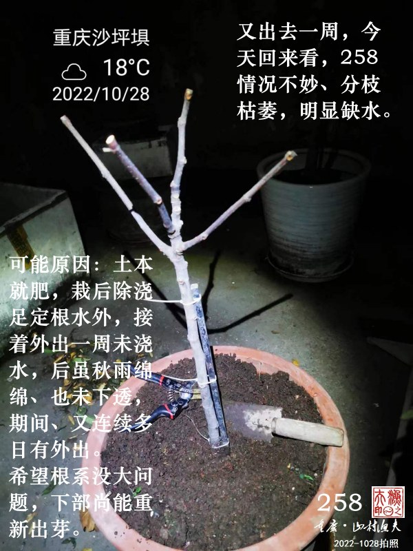 ΢ͼƬ_20221028222316.jpg
