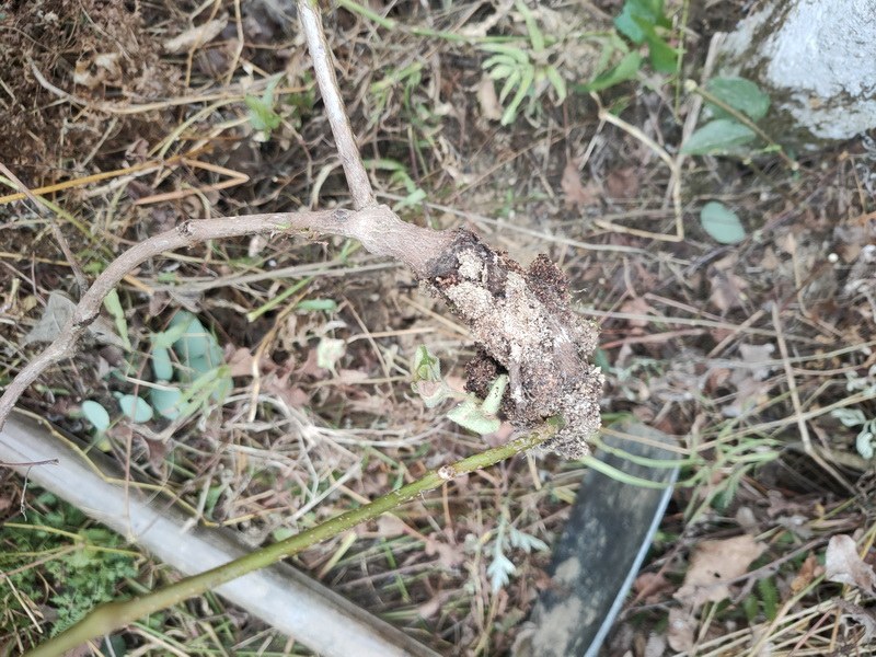 IMG20221004162955_resize.jpg