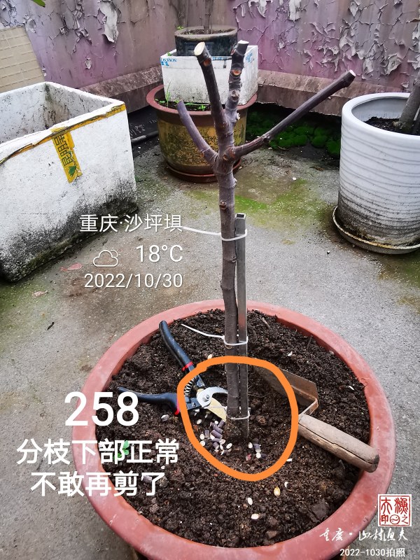 IMG_20221030_084441.jpg