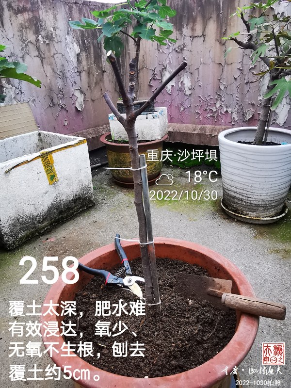 IMG_20221030_084912.jpg