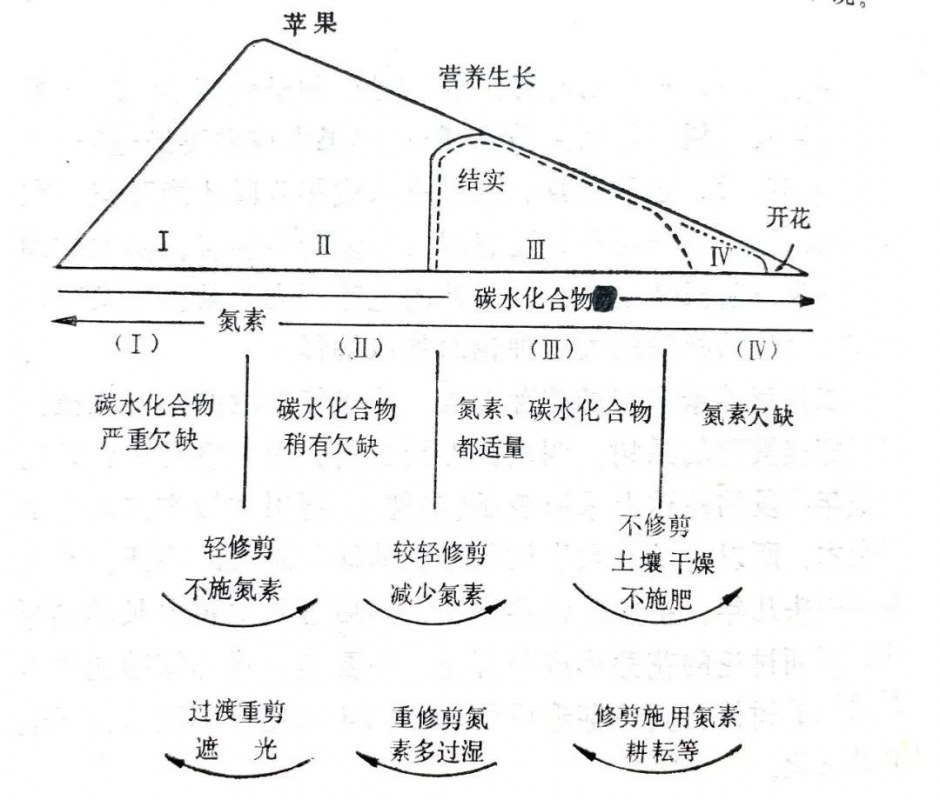 52.jpg