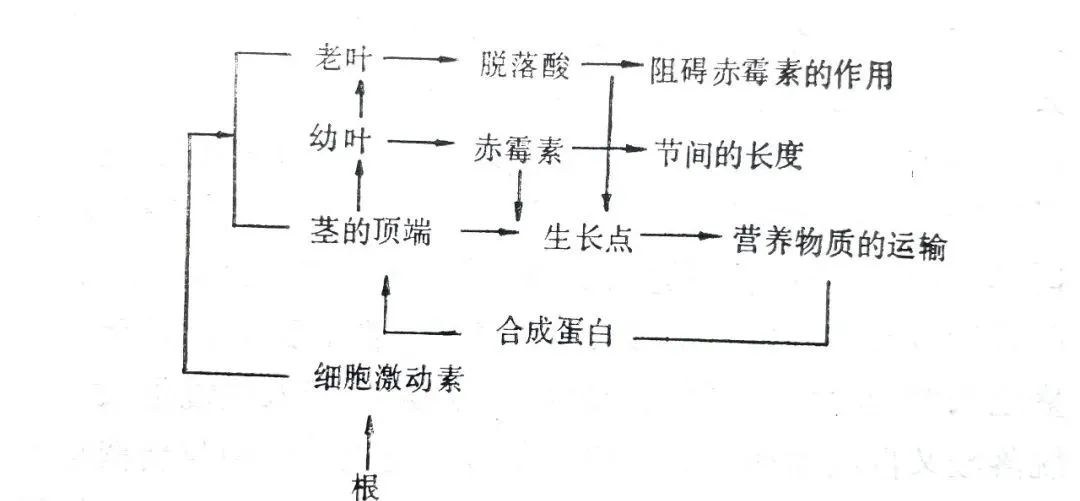 56.jpg
