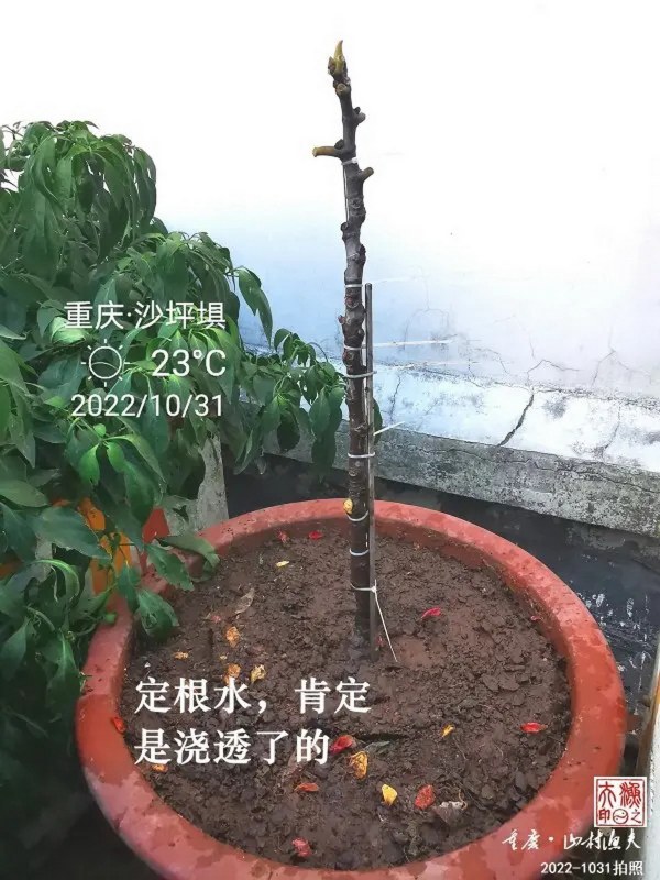 ΢ͼƬ_20221101133415.jpg