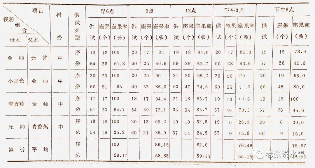 103.jpg